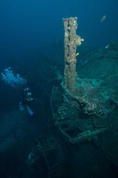 Экологическая значимость морских ущелий и глубоководных каньонов
