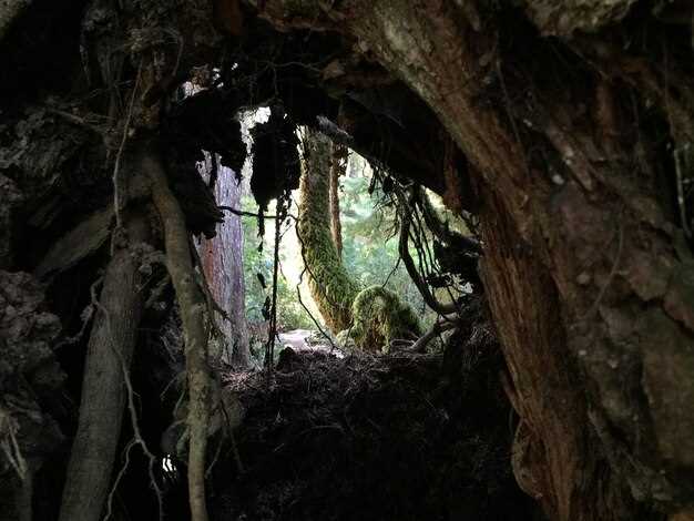 Подземные озера: Исследование и значение