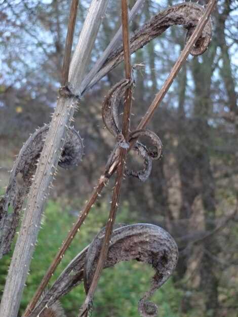 Современные технологии контроля качества поковок коленчатых валов