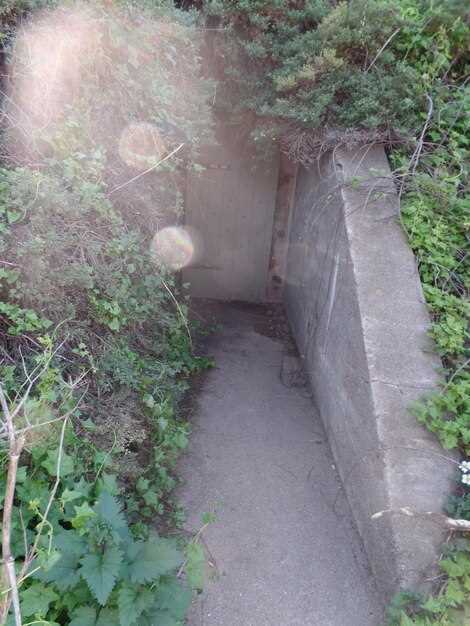 География полупустынь: примеры и места обитания