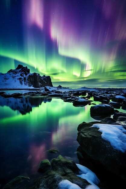 Как выживают животные и растения тундры в условиях полярной ночи