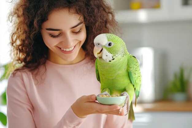 Уход и кормление волнистых попугаев