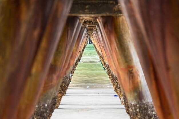 Советы по установке и выбору порогов для внедорожников и легковых автомобилей