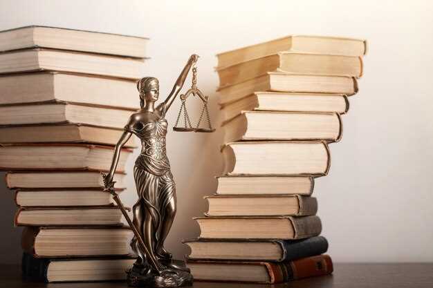 Принципы законодательства и их применение в Госдуме