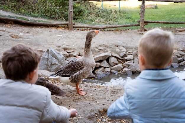 Влияние среды обитания на поведенческие паттерны животных