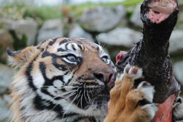 Угрозы для диких животных и их влияние на экосистемы