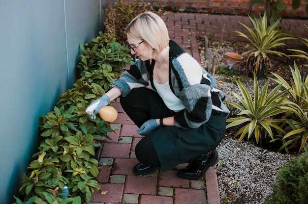 Способы создания живых изгородей из кустарников