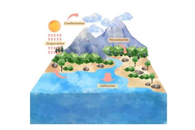 Как климатические условия формируют природные зоны мира