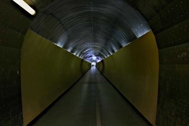 Выбор материалов для строительства и обеспечения долговечности