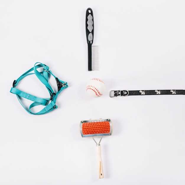 Где купить профессиональные инструменты для ухода за питомцами