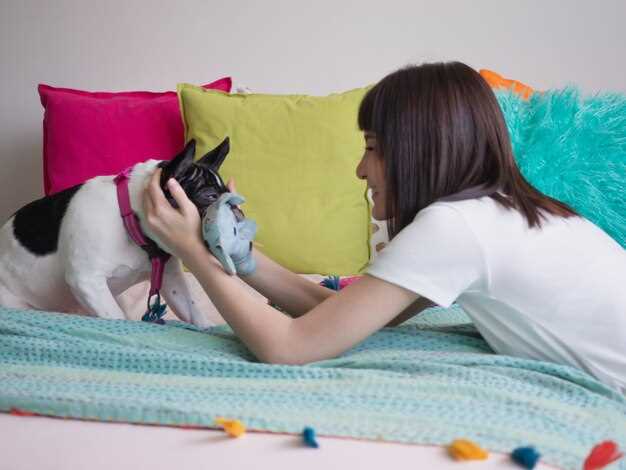 Советы по уходу за психическим здоровьем домашних животных