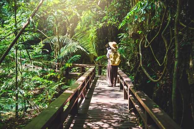 Как добраться до удаленных районов Амазонии