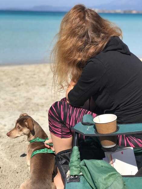 Путешествия с собакой: как правильно организовать