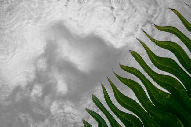 Работа с цветами в Photoshop для создания глубины изображения