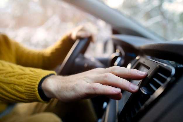 Как выбрать автоподогреватель для комфортной поездки