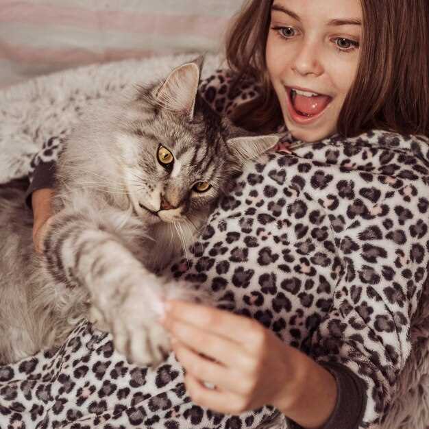 Уход за кошками: простые советы для начинающих