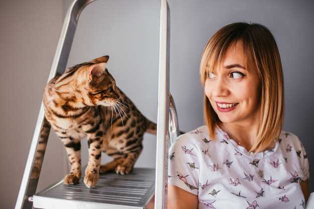 Неприхотливые кошки: рейтинг по уходу и заботе