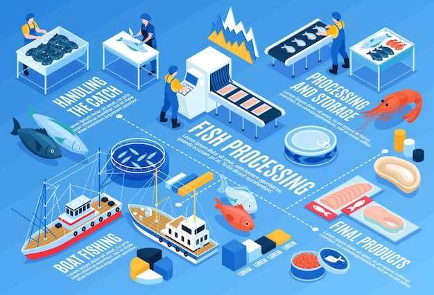 Портовые возможности и инфраструктуры различных океанов