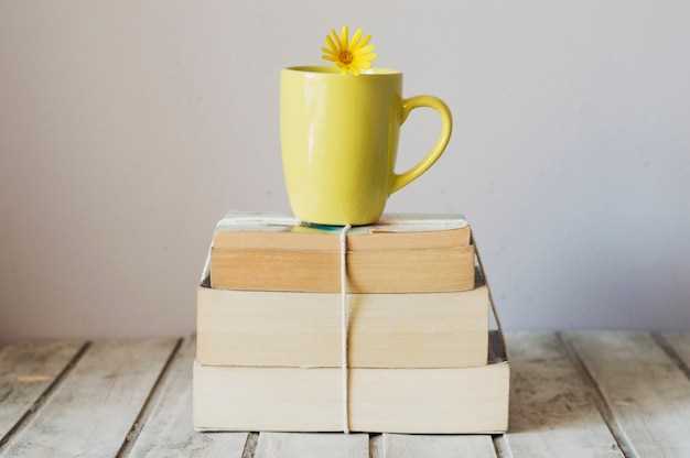 Книги для начинающих: что почитать первыми
