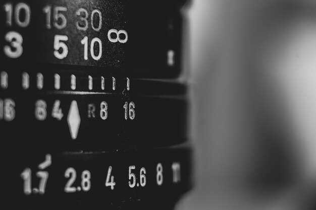 Телеобъективы для видеосъемки и съемки дикой природы