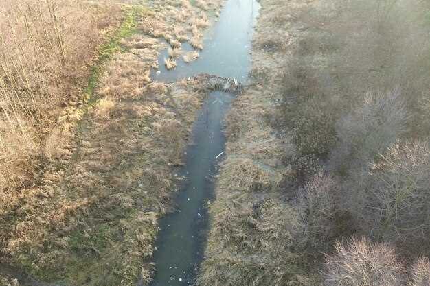 Как реки влияют на политические отношения между странами