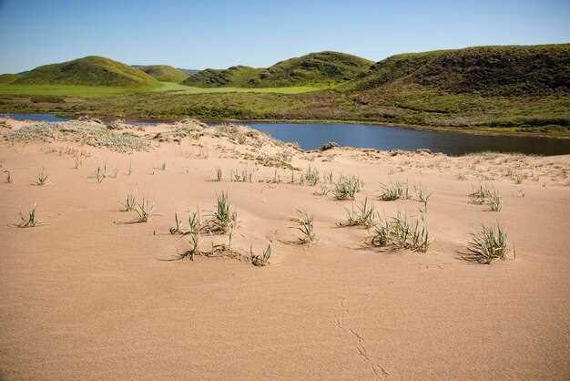 География оазисов: где находятся основные источники воды
