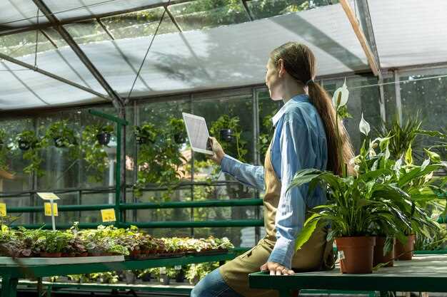 Системы отопления и вентиляции: как правильно организовать?