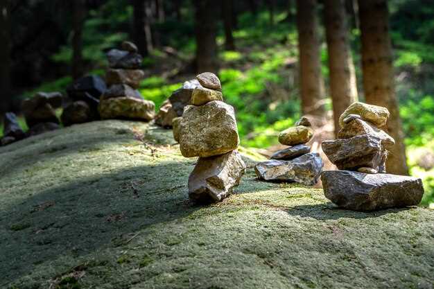 Уход за рокариями и альпийскими горками