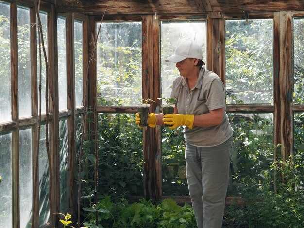 Как починить деревянные рамы теплицы: пошаговая инструкция