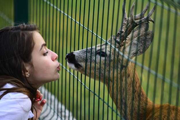 Программы разведения исчезающих видов: практика и результаты