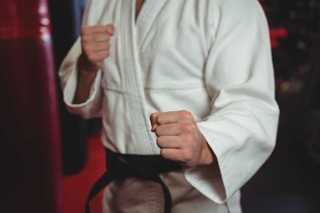 Самбисты на ринге: особенности перехода в элитные MMA-промоушены
