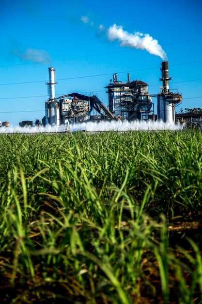 Эффективные стратегии для снижения углеродных выбросов с биотопливом