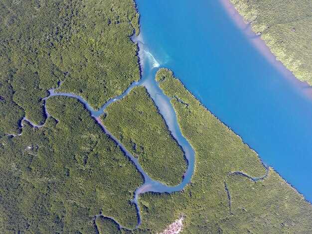 Исследование рек мира: водные артерии и их значение