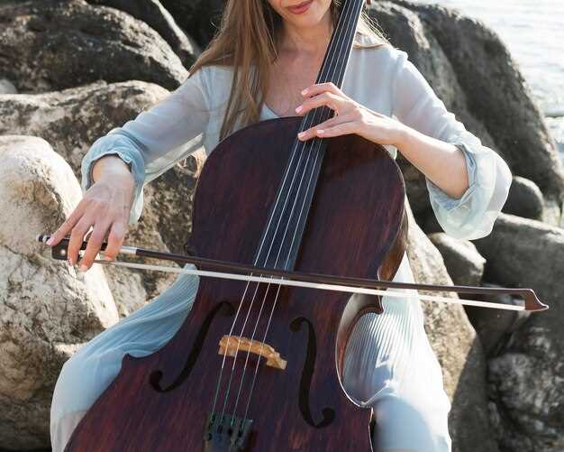 Редкие струнные инструменты и их звучание