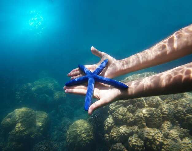 Эффективные практики снижения отходов на борту для мореходов