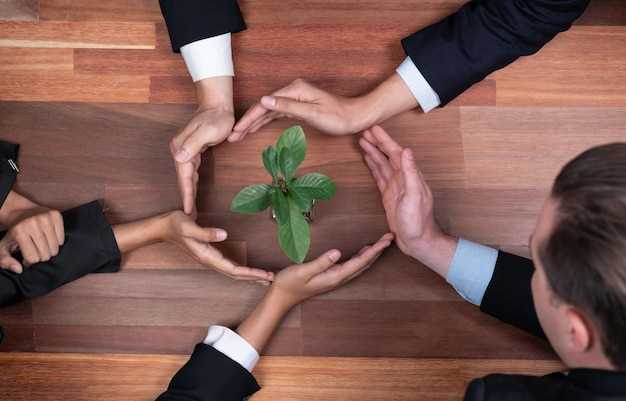 Основы ESG-инвестиций для начинающих: первые шаги