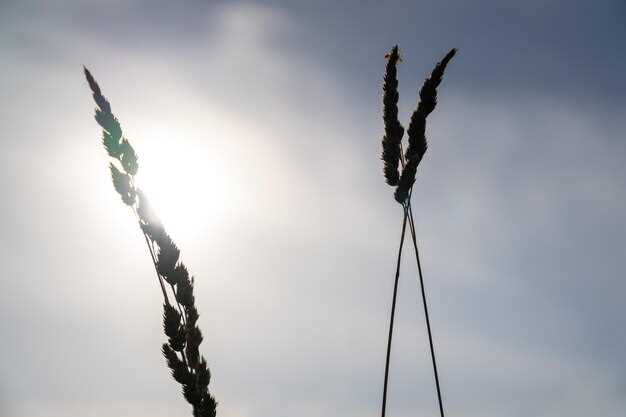 Неудачные операции и самые позорные отступления военных конфликтов