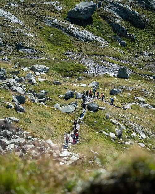 Признаки предстоящих землетрясений: как подготовиться к угрозам в горах