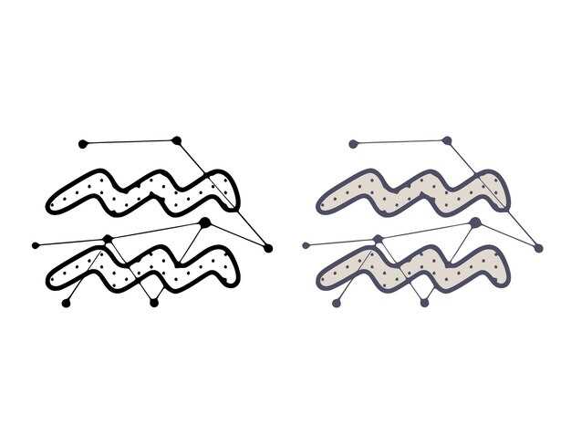 Типы сейсмических волн и их особенности