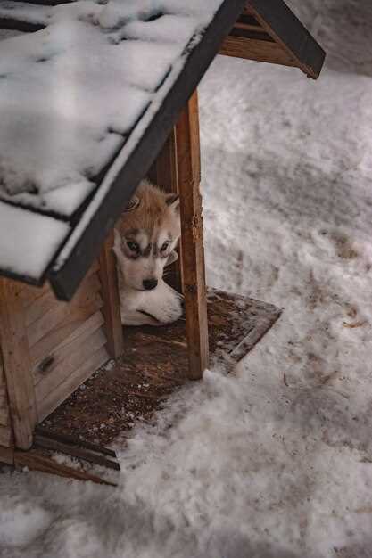 Изменения в поведении животных в зависимости от времени года