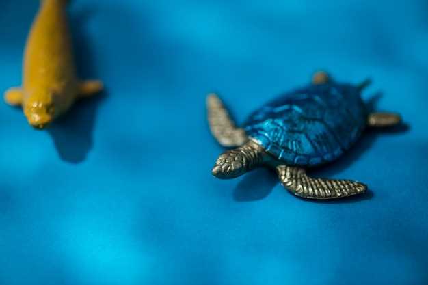 Экология морских черепах: среда обитания и условия для миграции