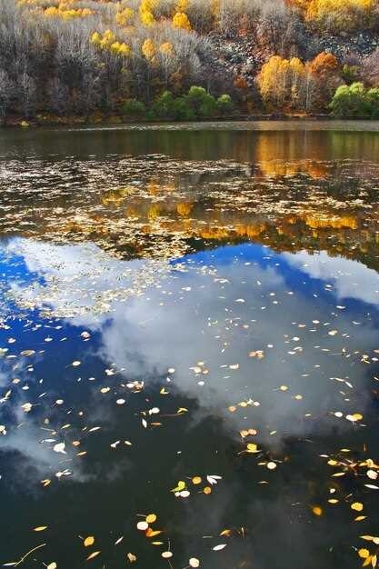 Изменение уровня воды и его влияние на экосистему