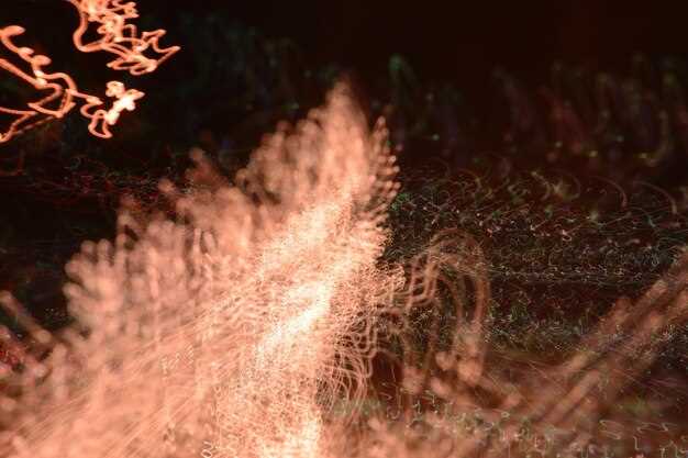 Влияние экзотических частиц на свойства космических лучей