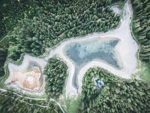 Как саги помогают в построении семейных деревьев