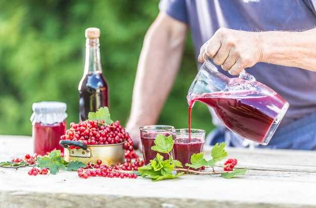 Консервация ягод: сохранение витаминов и вкуса