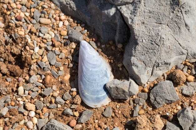 Использование геотекстиля для стабилизации откосов