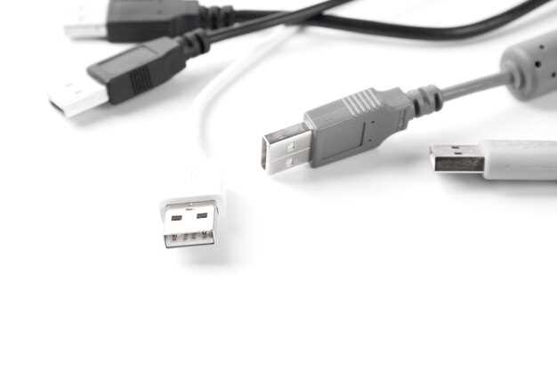 Отличия USB и Thunderbolt: что нужно знать