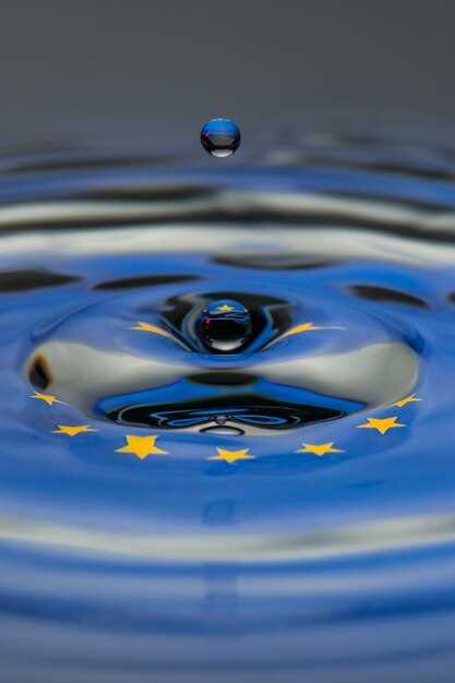 Сравнение стандартов Euro 5 и Euro 6: влияние на эмиссию автомобилей