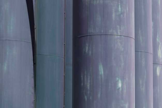 Проверка жесткости и устойчивости стен силоса после монтажа