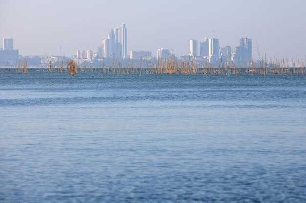 Влияние уровня моря на жизнь в столицах